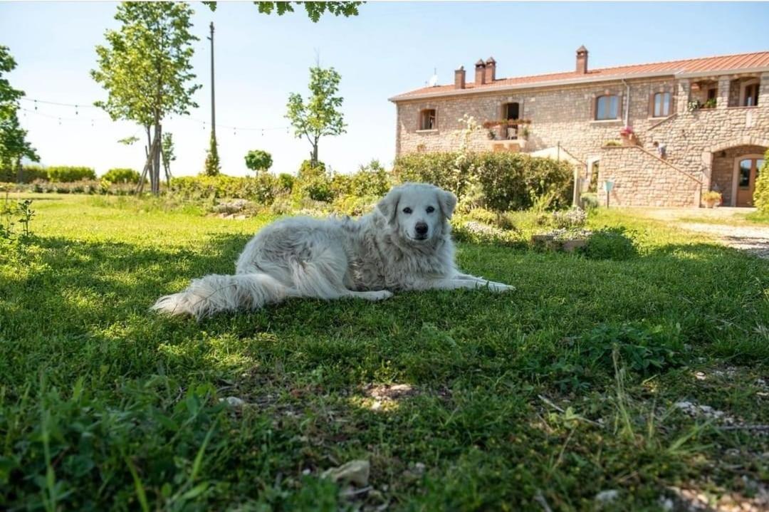 Masseria Fontana Dei Fieri Пиетрелчина Екстериор снимка