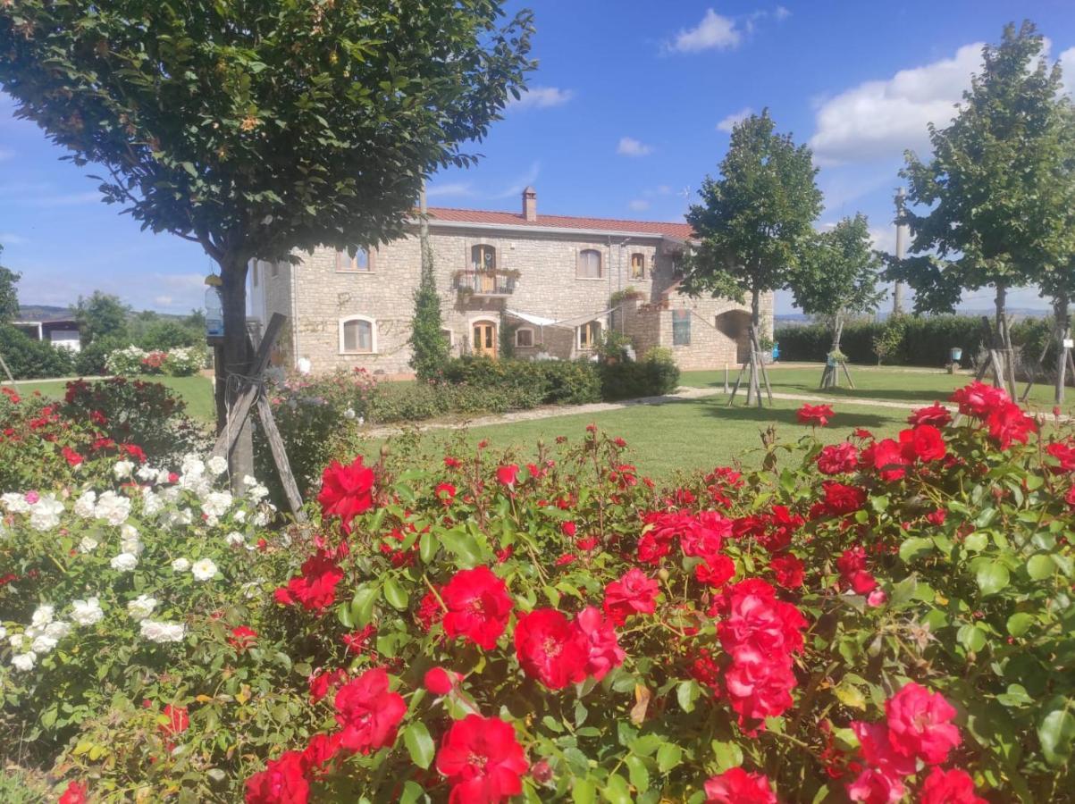 Masseria Fontana Dei Fieri Пиетрелчина Екстериор снимка