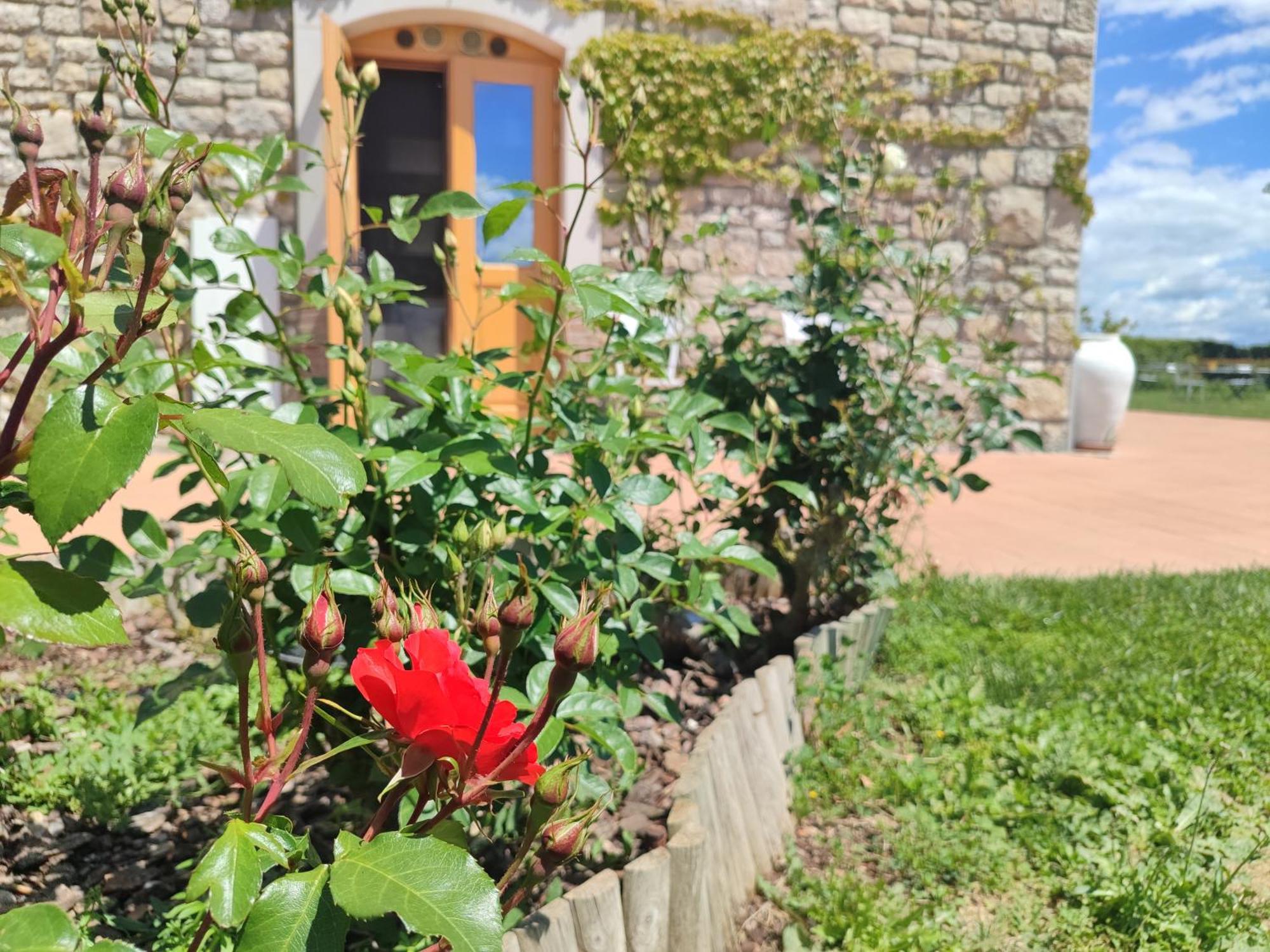 Masseria Fontana Dei Fieri Пиетрелчина Екстериор снимка