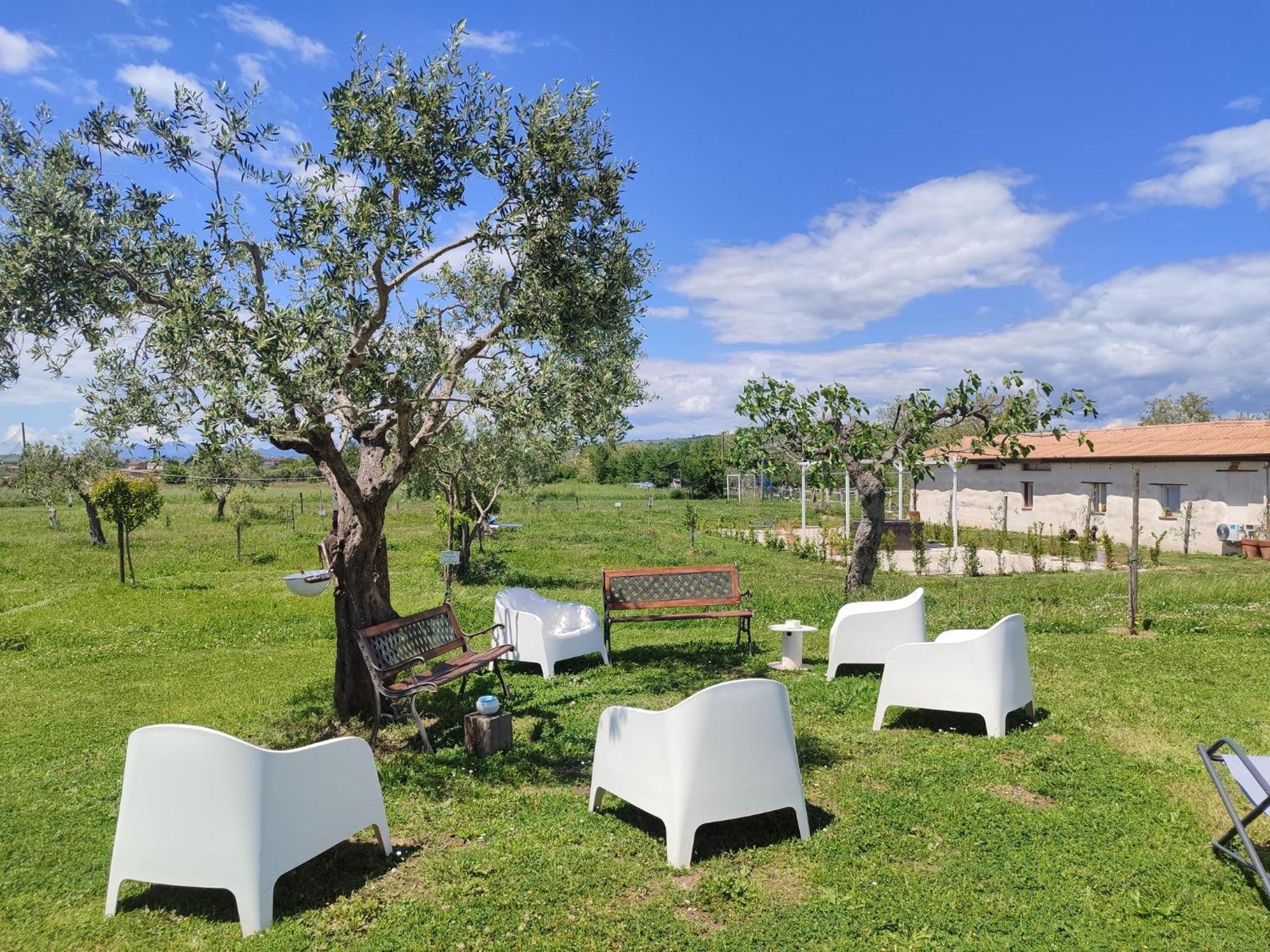 Masseria Fontana Dei Fieri Пиетрелчина Екстериор снимка