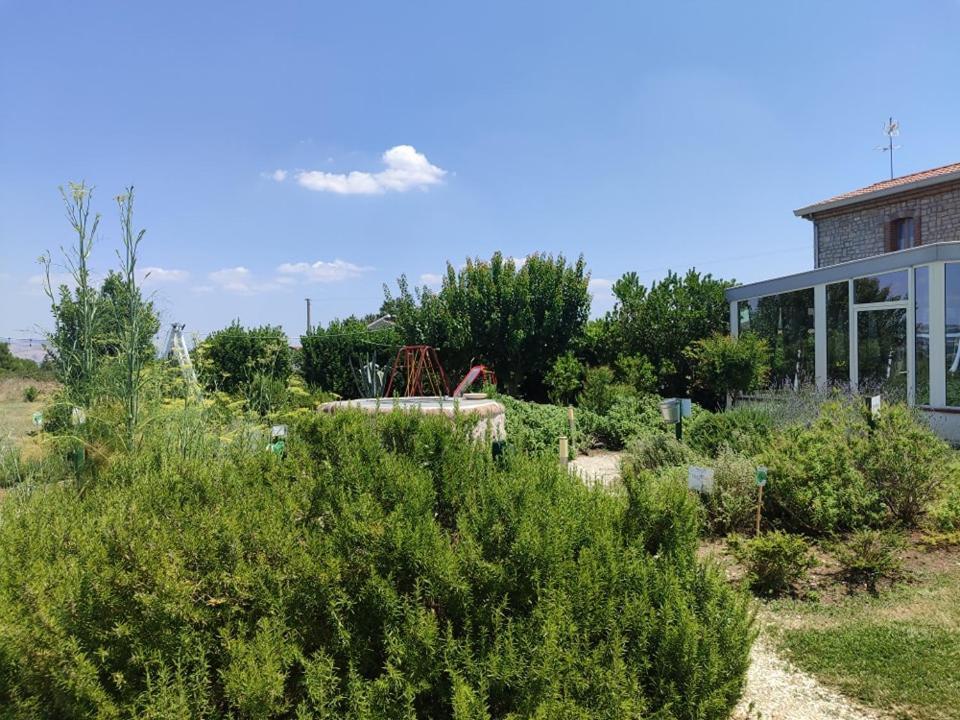Masseria Fontana Dei Fieri Пиетрелчина Екстериор снимка