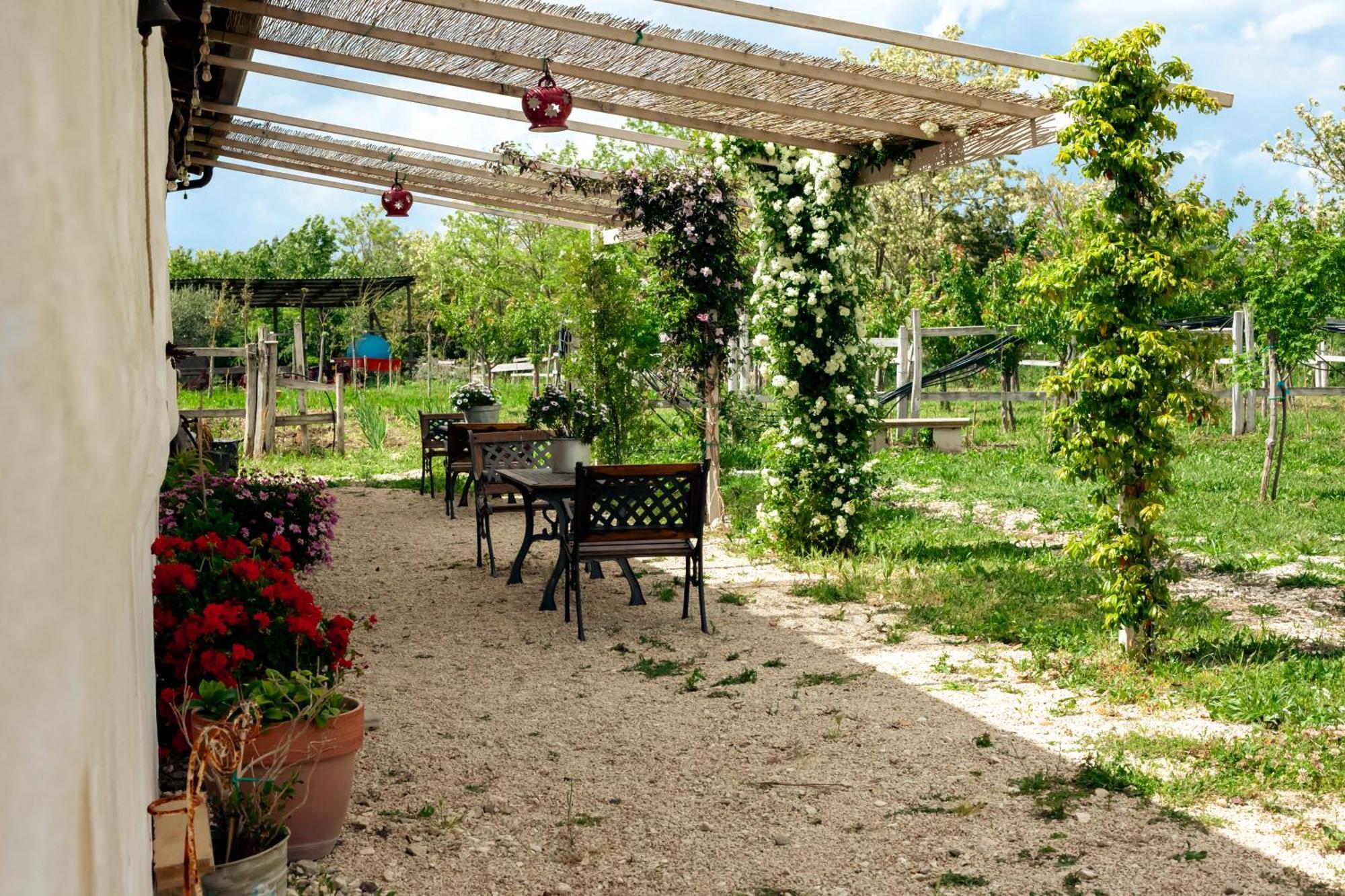 Masseria Fontana Dei Fieri Пиетрелчина Екстериор снимка